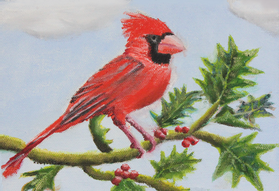 Cardinal - Print by Joan Affenit
