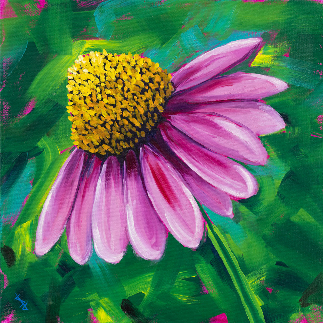 Coneflower Splendor - 14x14 print by Stacy Jenkins
