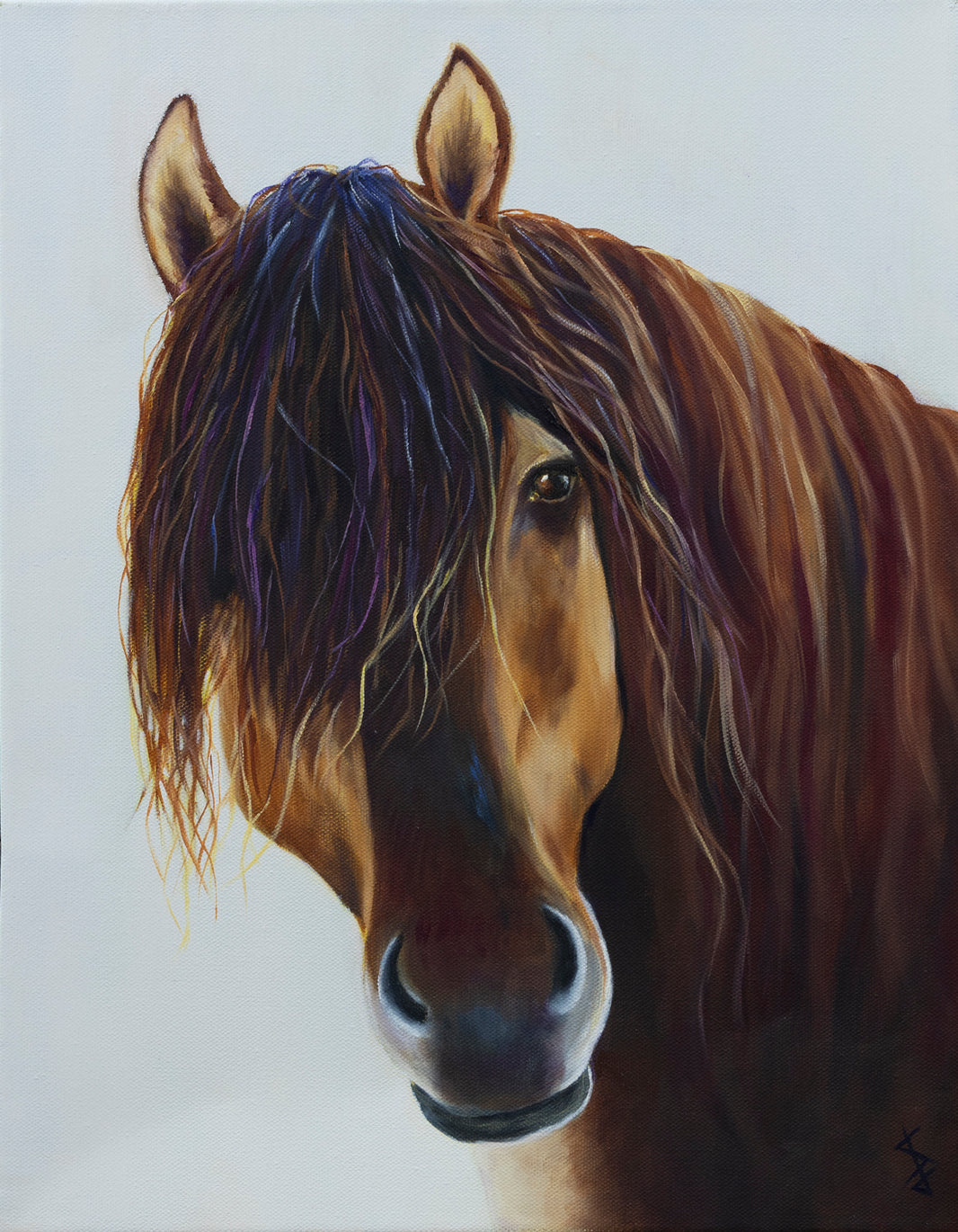 Curiosity - print by Stacy Jenkins