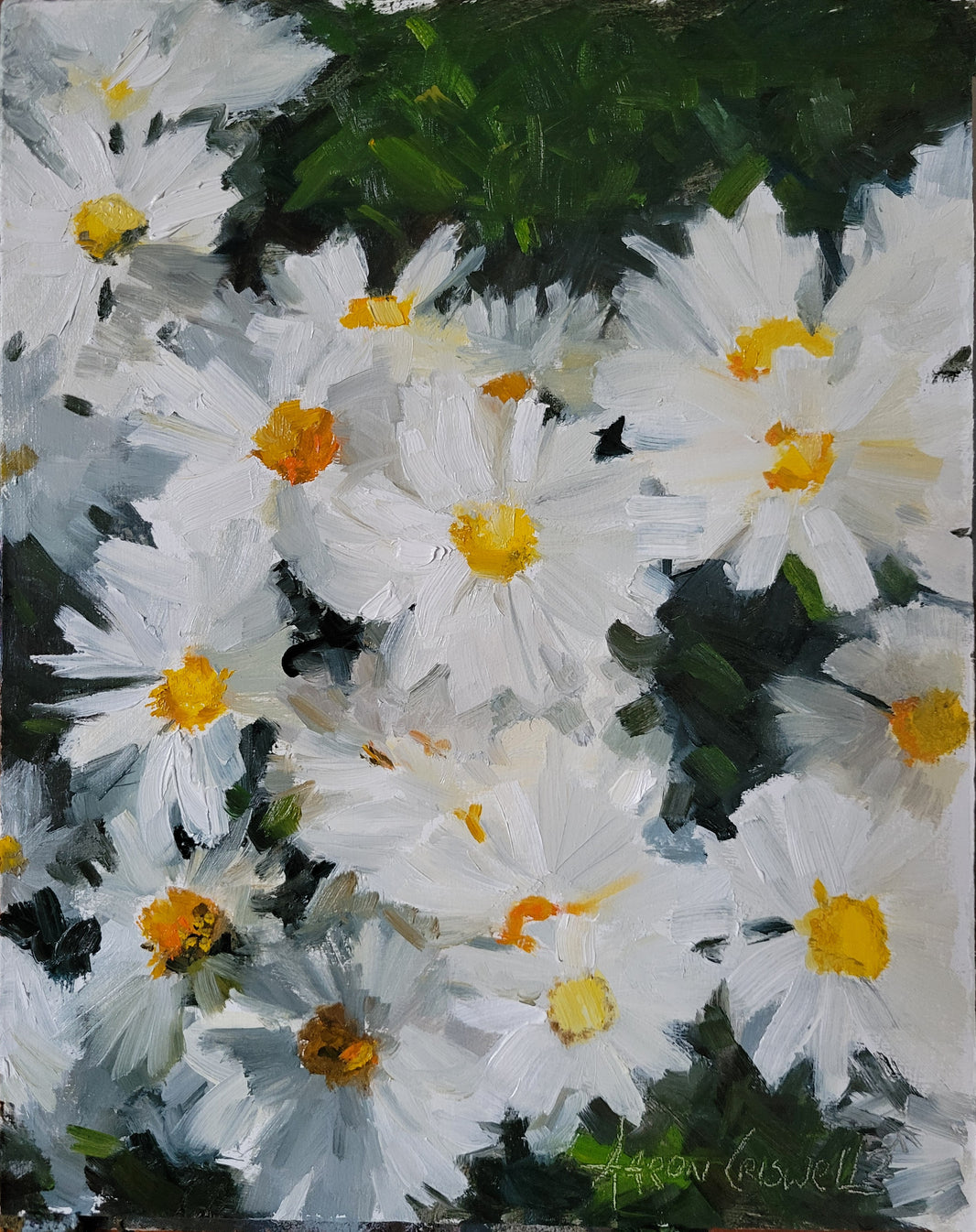Daisies I- Print by Aaron Criswell