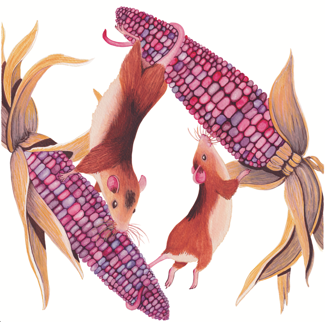 Field Mouse Frezy - 10x10 inches print by Stephenie Anderson