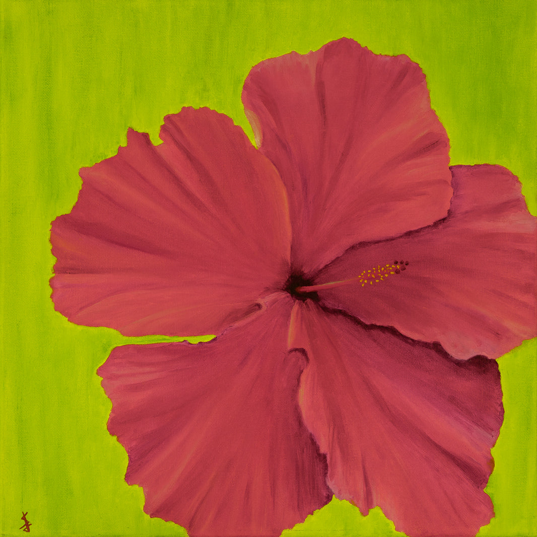 Hibiscus Warm - 14x14 inch Print by Stacy Jenkins
