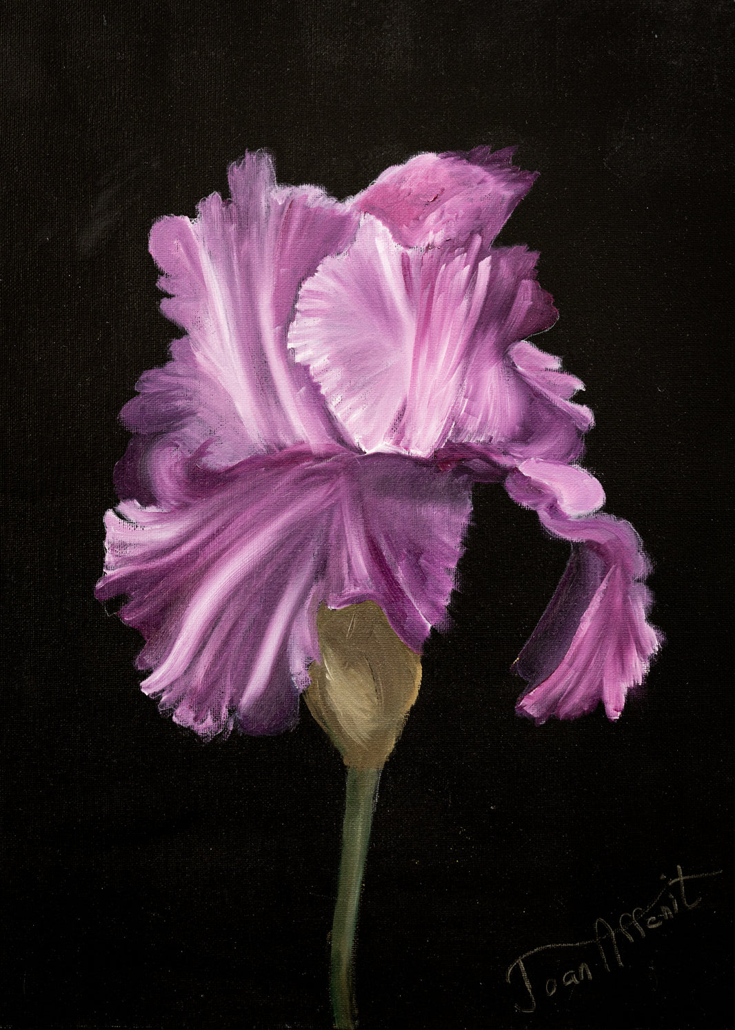 Iris - Print by Joan Affenit