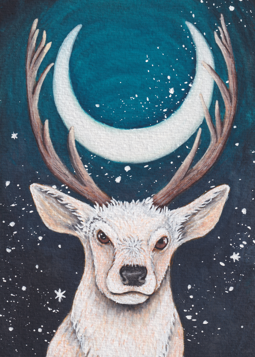 Night Watcher - 8x11 inches print by Stephenie Anderson