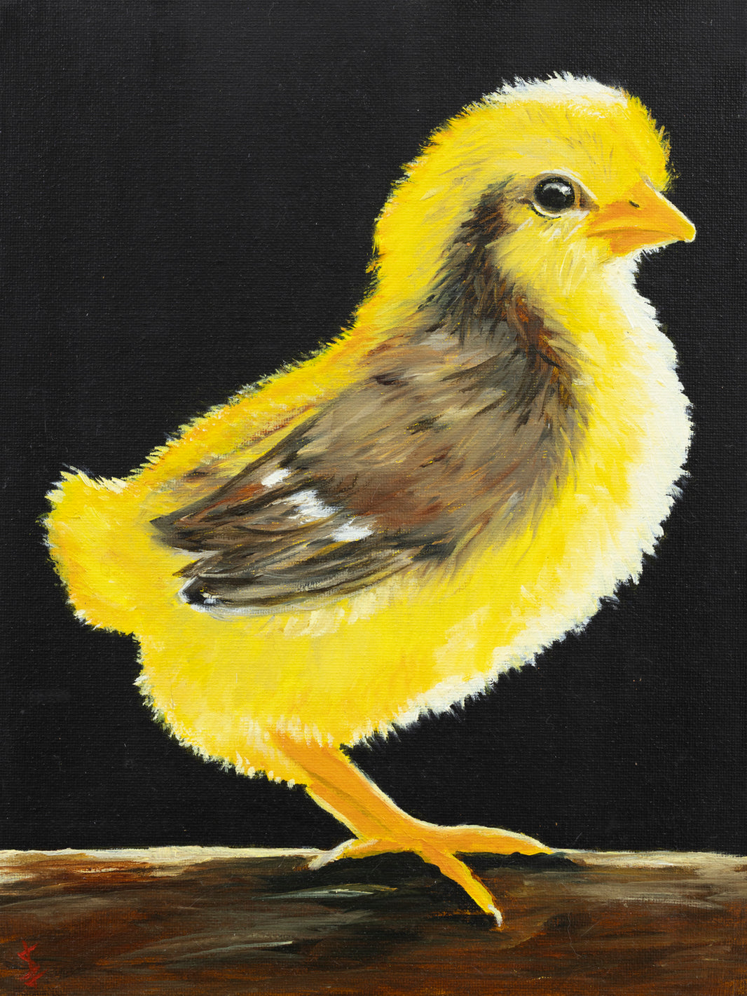 Chicky - 9x12 print by Stacy Jenkins