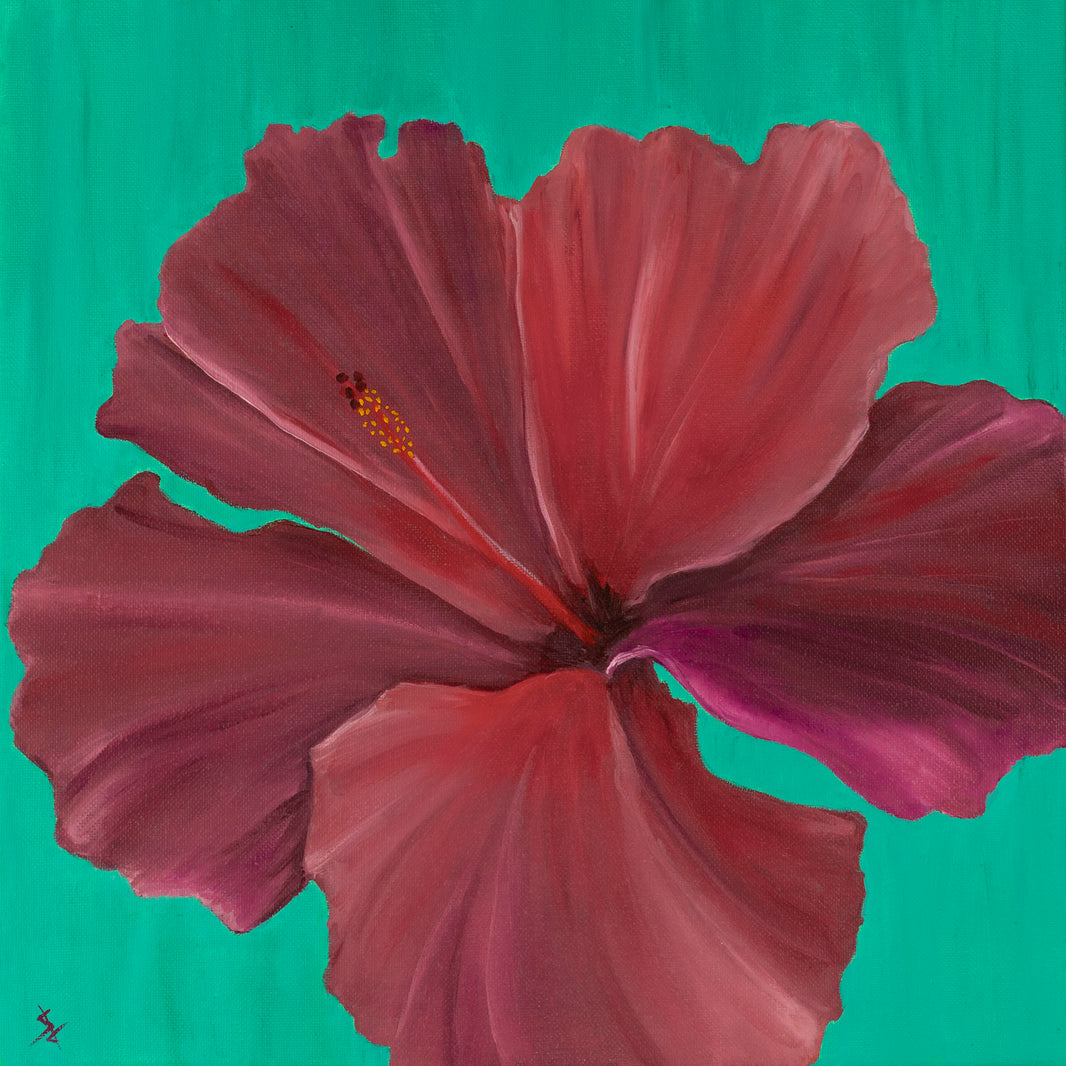 Hibiscus Cool - 14x14 inch Print by Stacy Jenkins