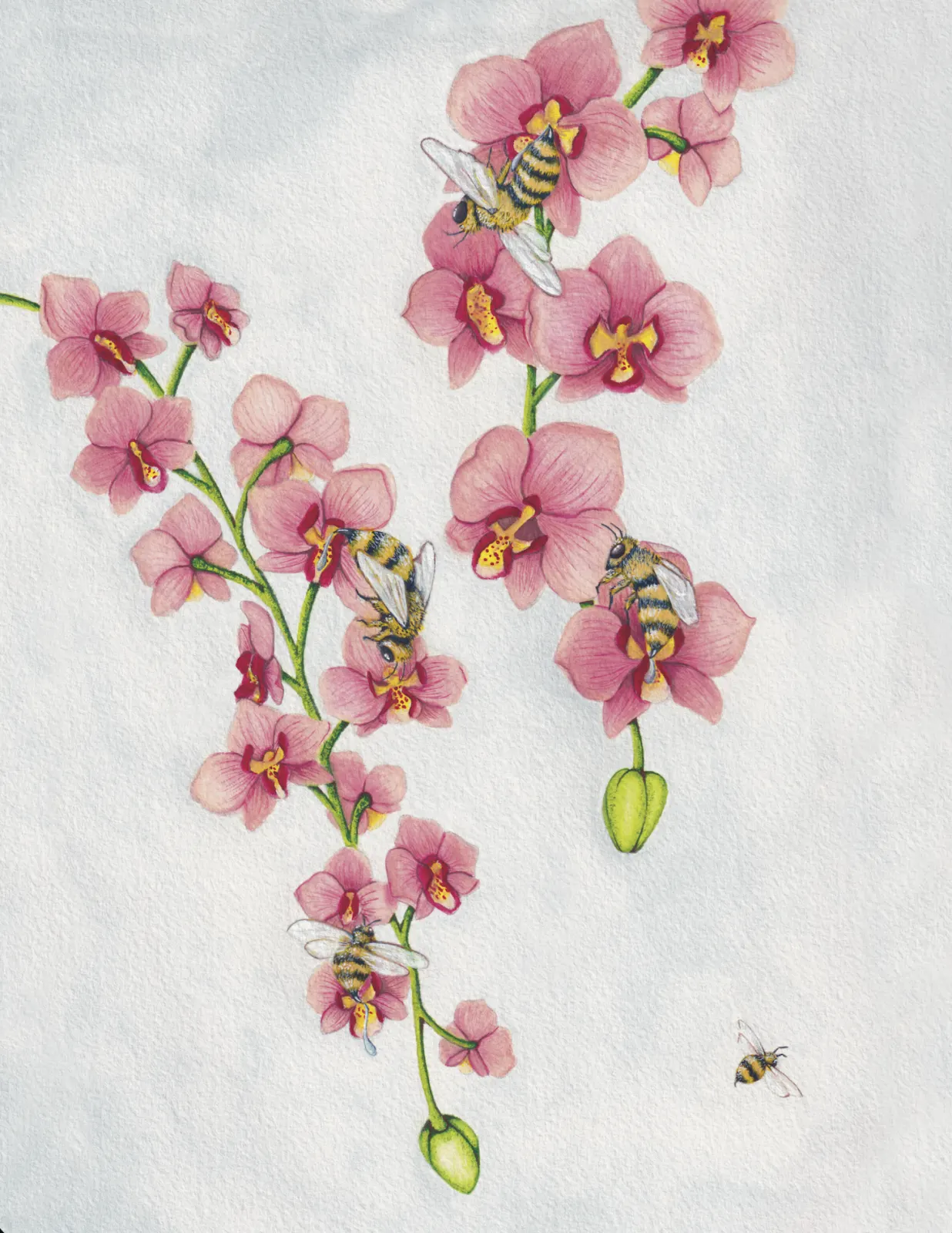 String of Love - 8x10 inches print by Stephenie Anderson