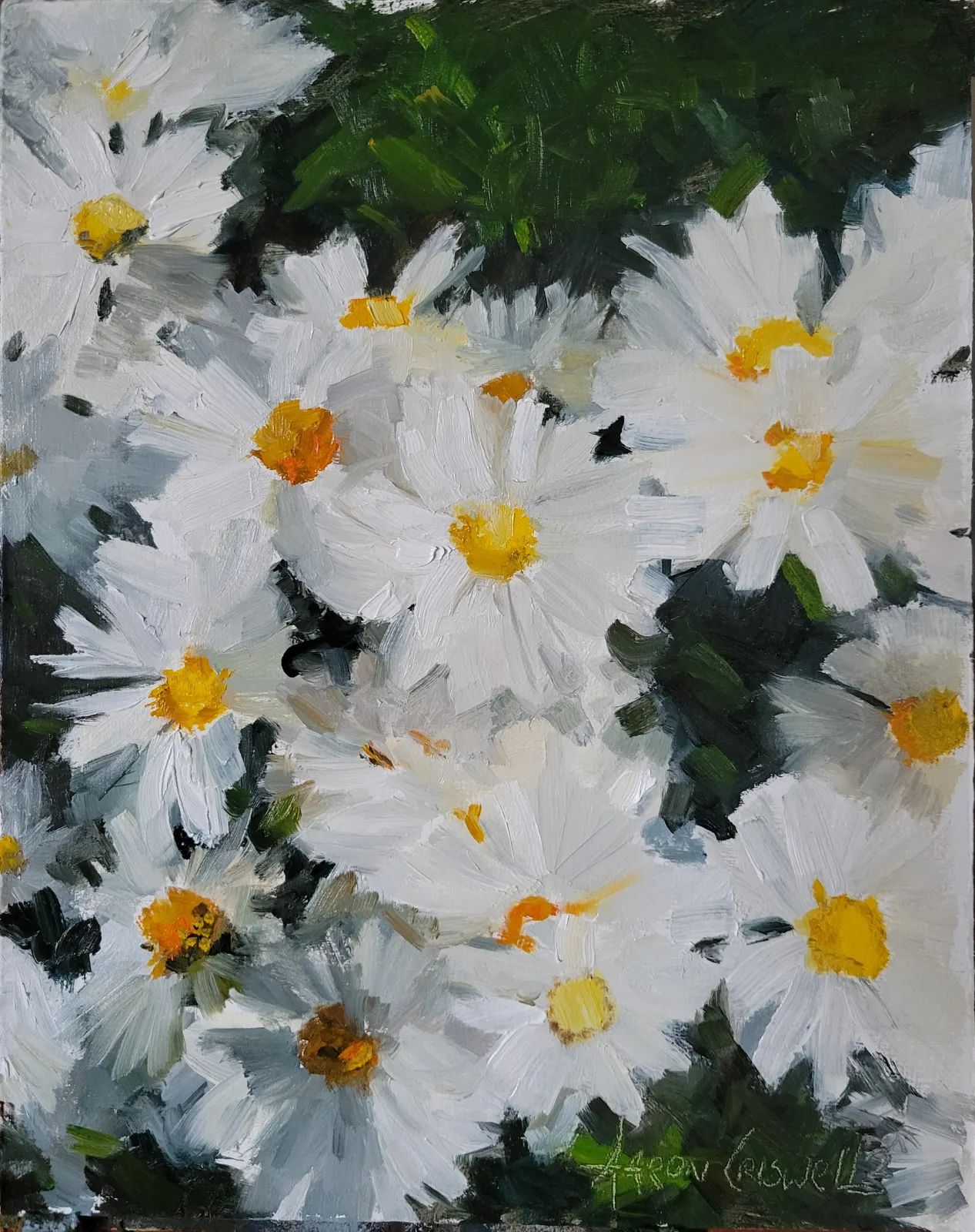 Daisies I- Print by Aaron Criswell