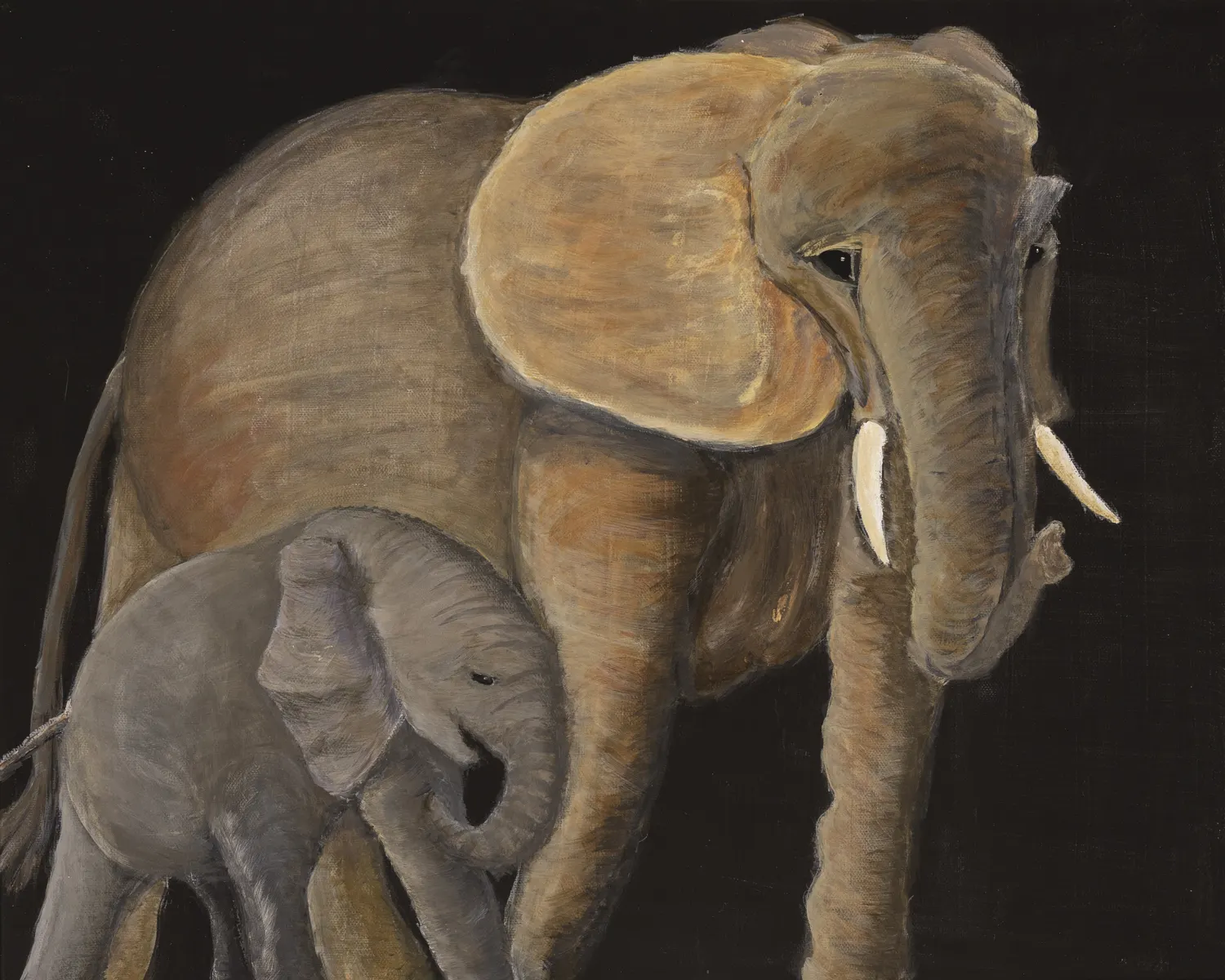 Elephant – Tenderness on Borrowed Time