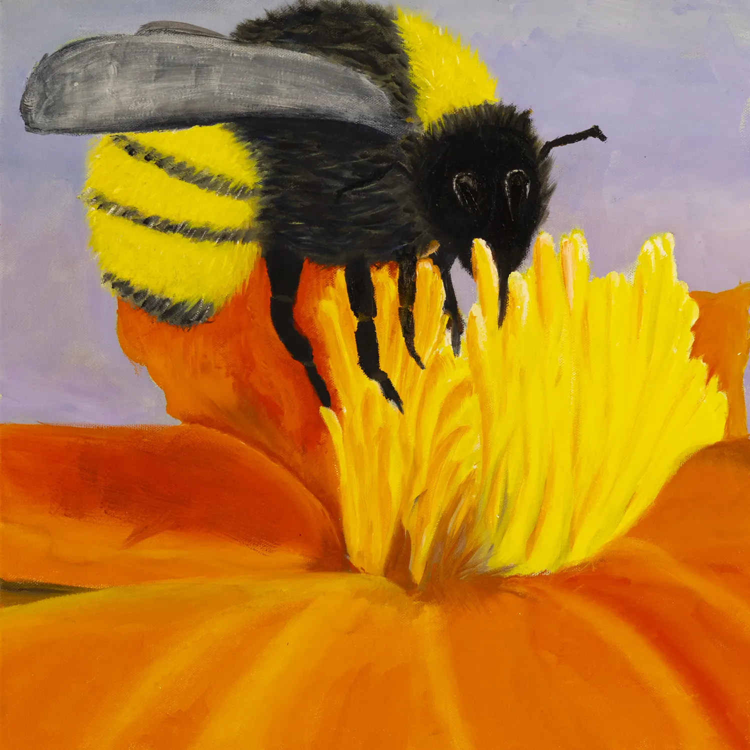 Bumble Bee – The Pollinator’s Plea