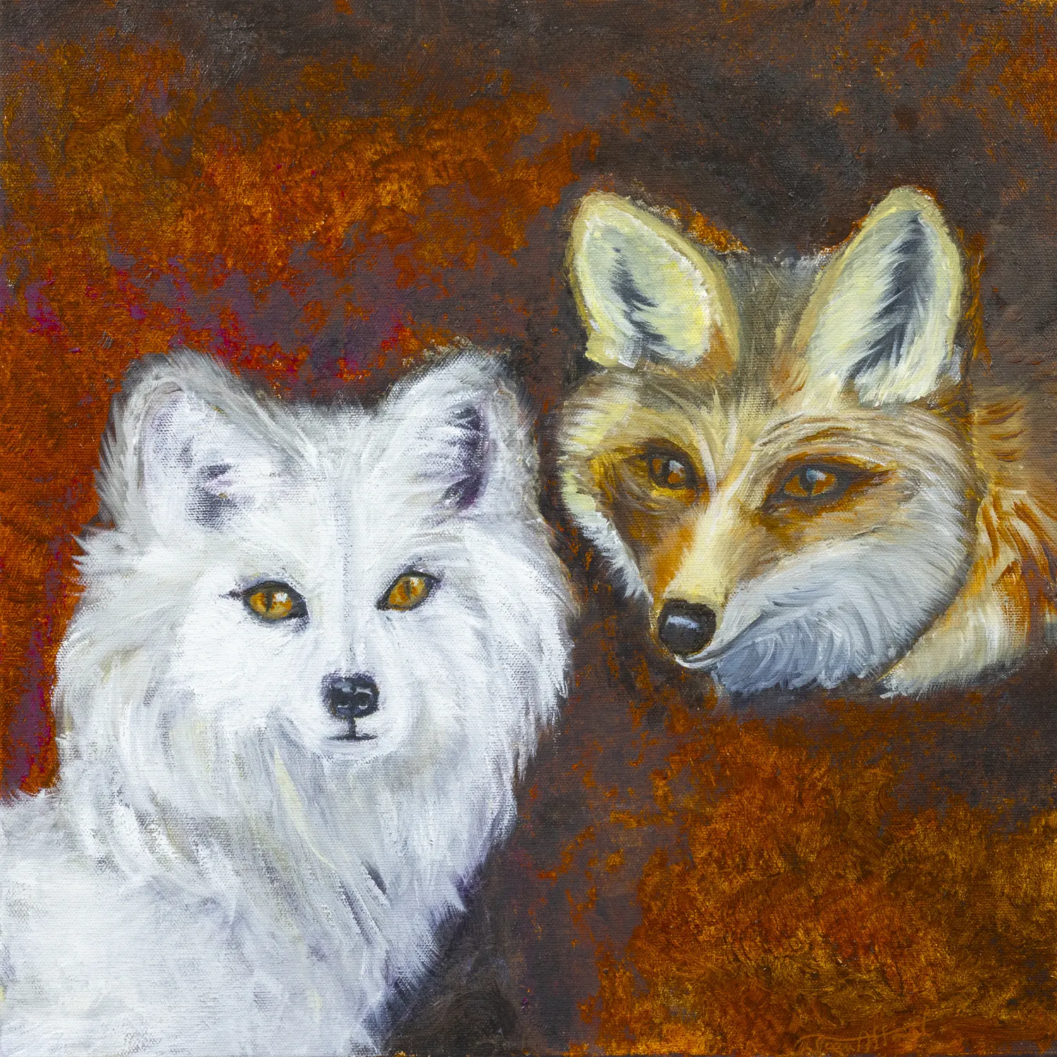 Foxy