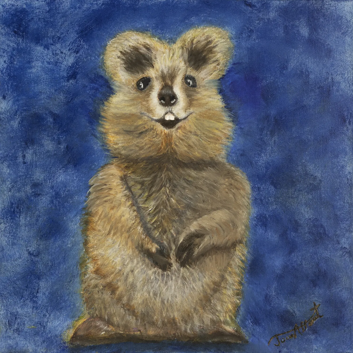 Quokka – Gladness in the Gathering Gloom