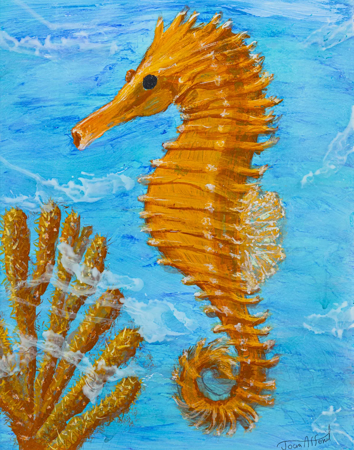 Seahorse – A Fragile Miracle