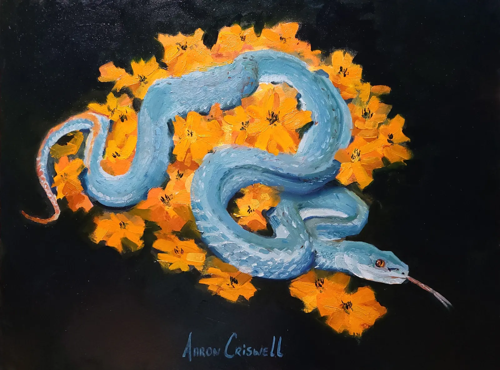 Blue insularis pit viper - Print by Aaron Criswell