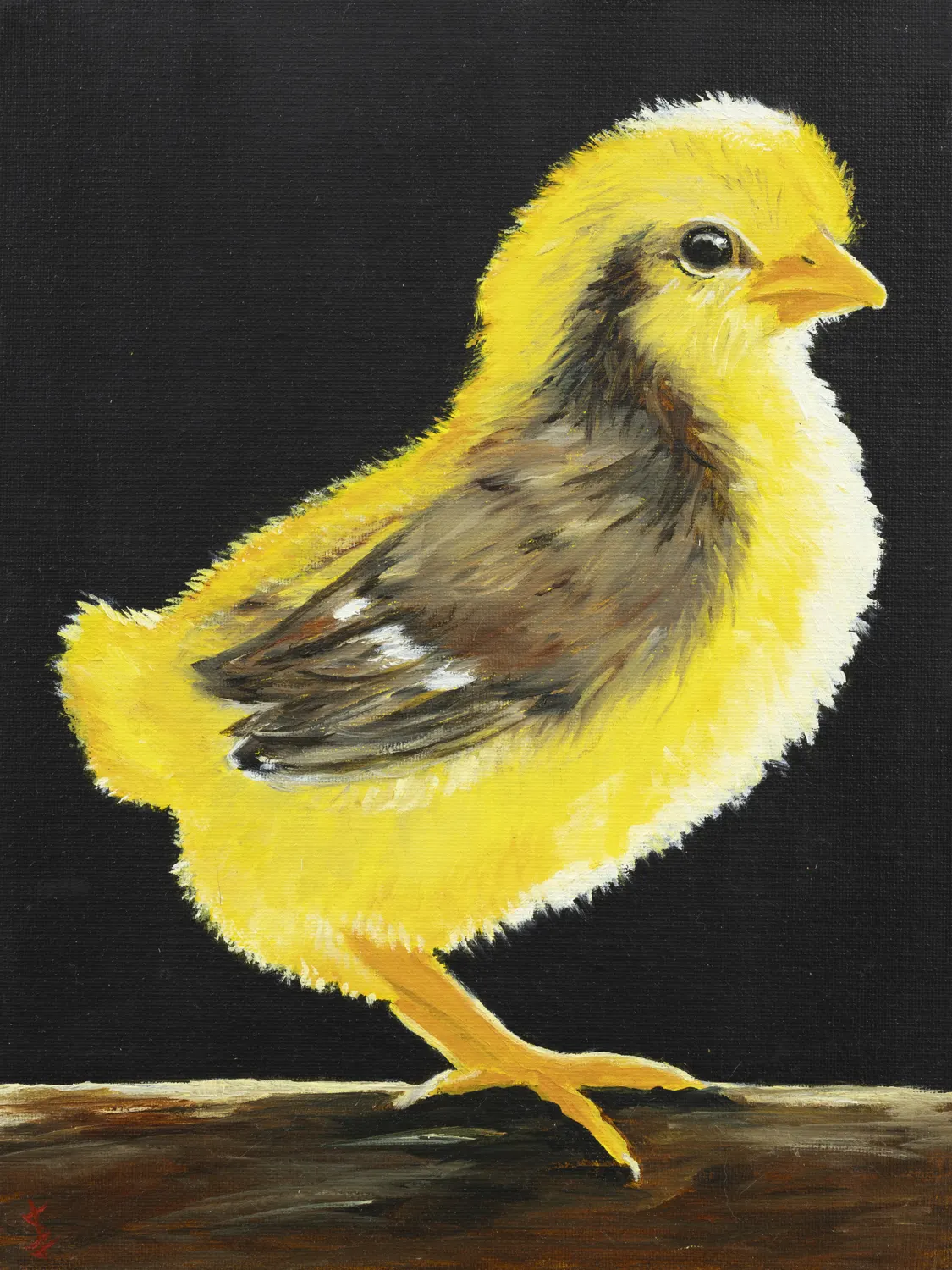 Chicky - 9x12 print by Stacy Jenkins