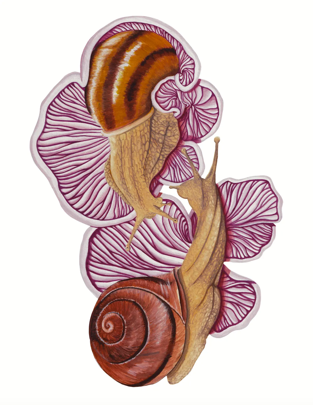 Symbiotic Dance - 8x10 inches print by Stephenie Anderson