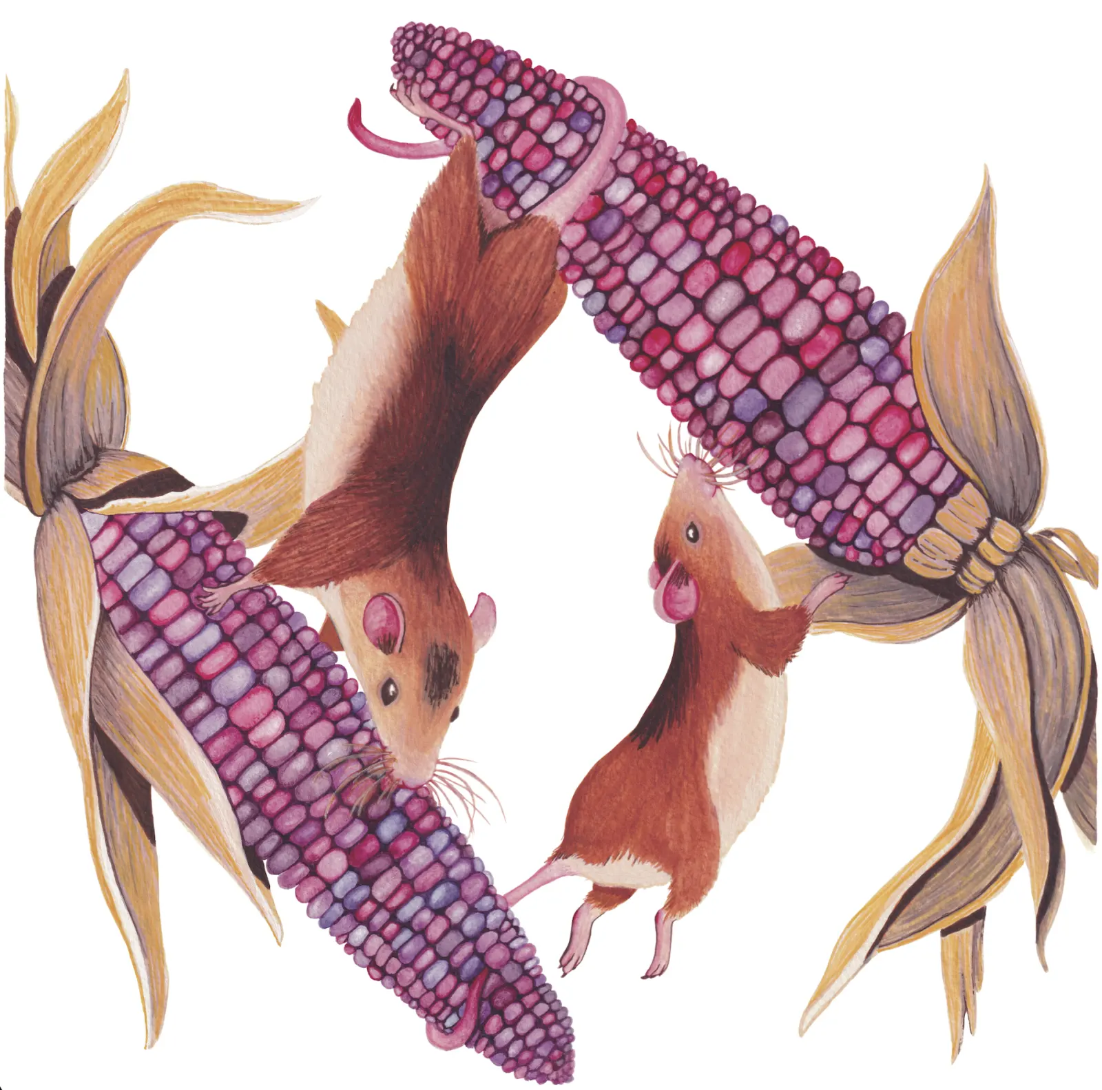 Field Mouse Frezy - 10x10 inches print by Stephenie Anderson