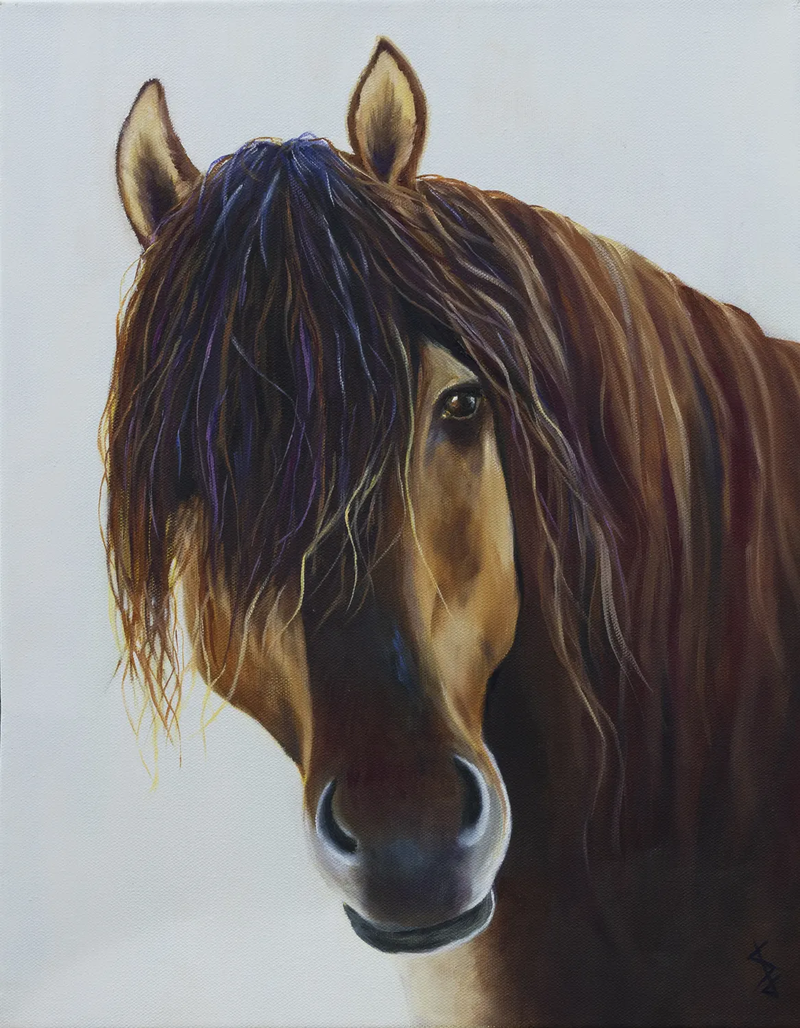 Curiosity - print by Stacy Jenkins