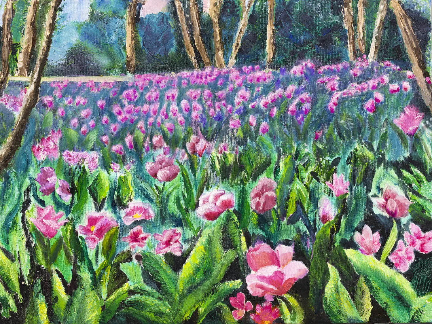 Tulip Explosion