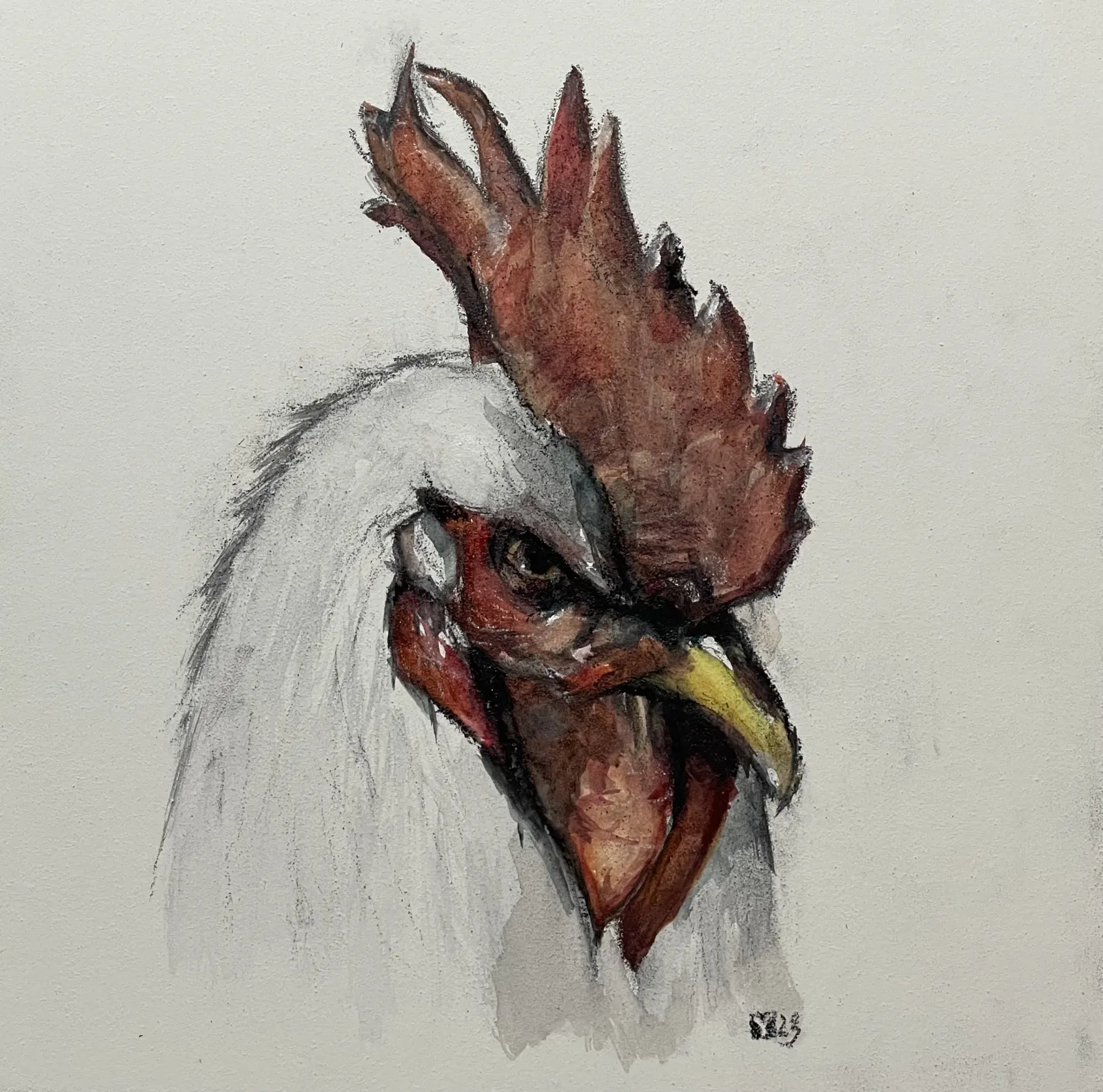 chicken